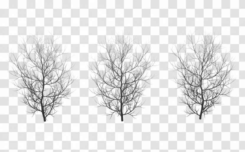 Tree Winter Branch Clip Art - Pruning Transparent PNG
