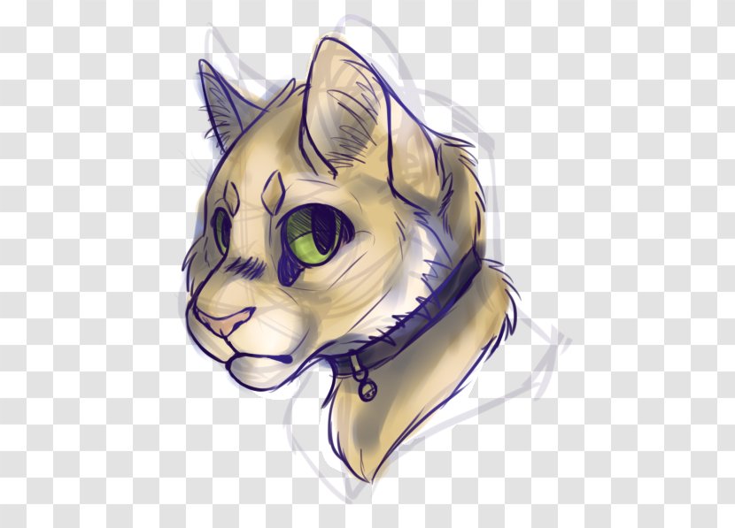 Whiskers Kitten Cat Drawing - Realistic Sketch Transparent PNG