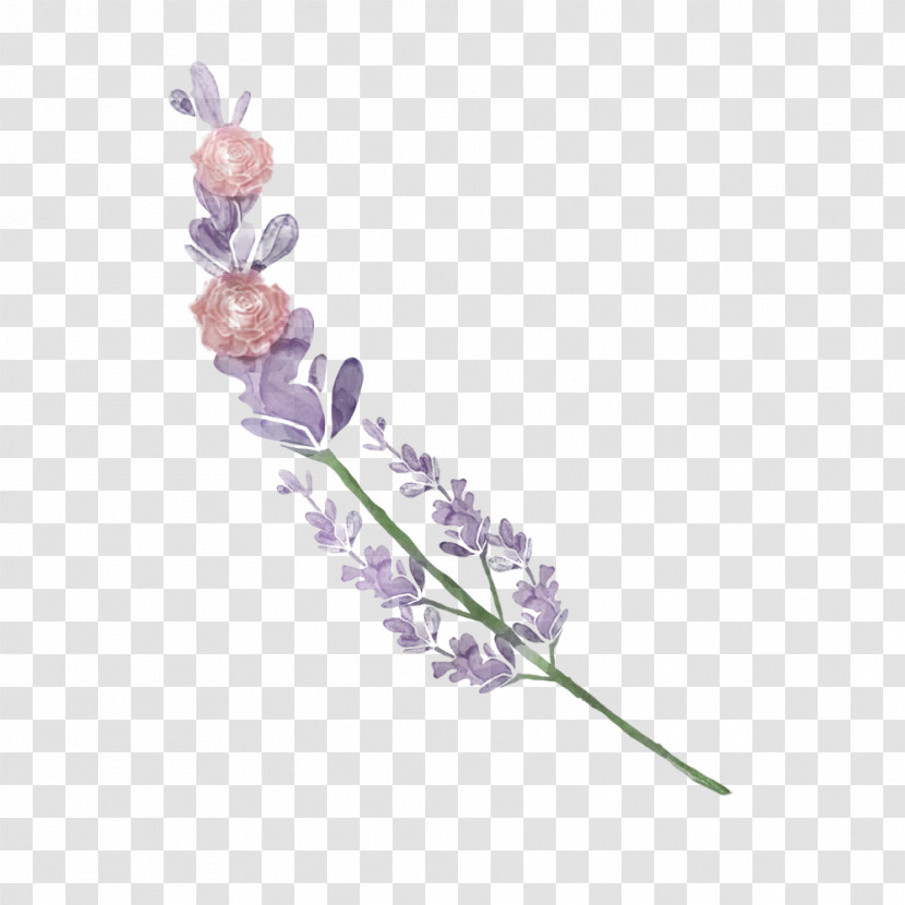 Lavender Transparent PNG