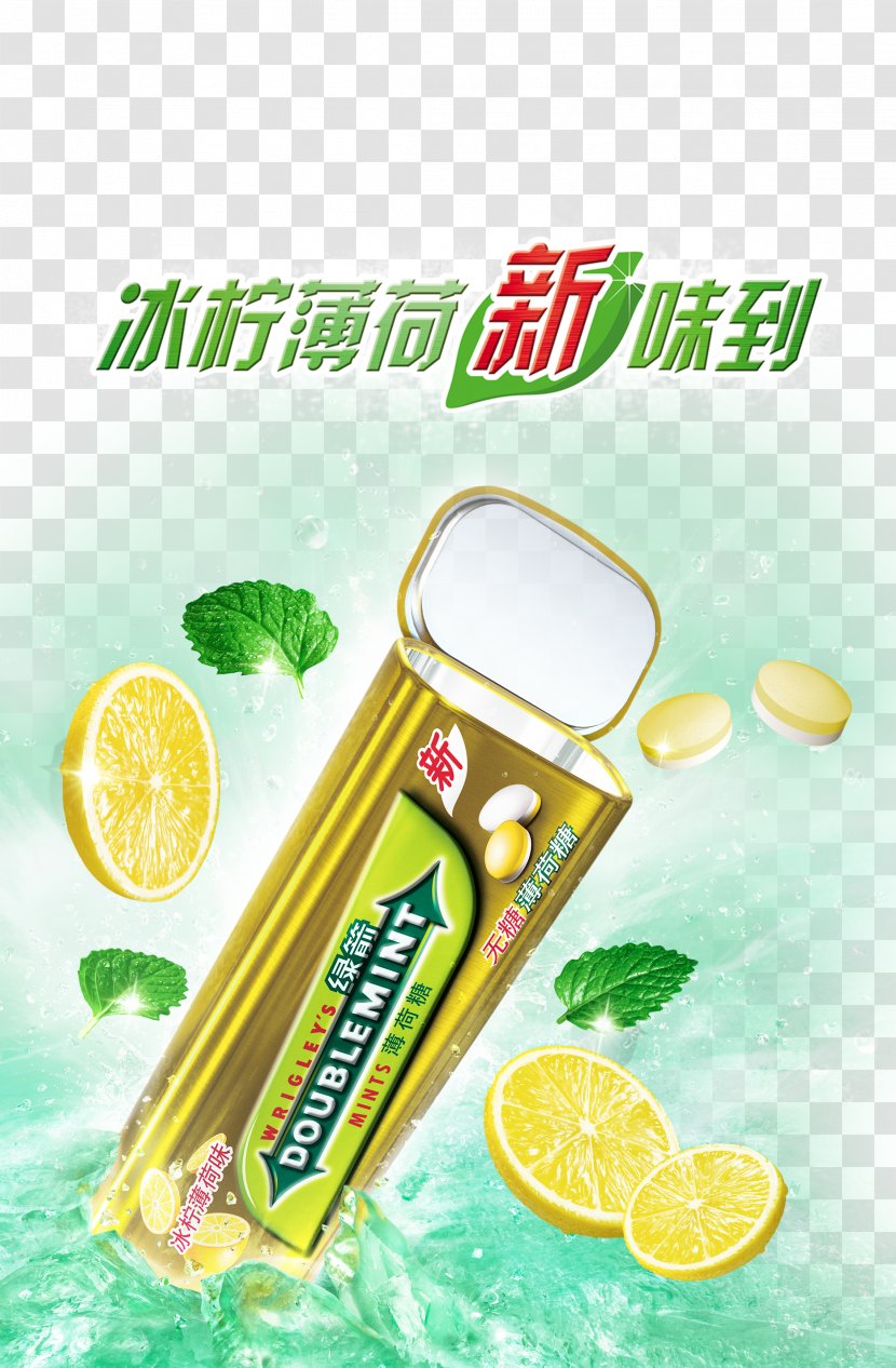 Chewing Gum Mentha Spicata Doublemint Extra - Citrus - Ice Lemon Fresh Mint Transparent PNG