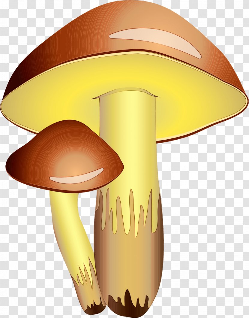 Mushroom Cartoon Edible Agaricomycetes Clip Art - Watercolor - Bolete Material Property Transparent PNG