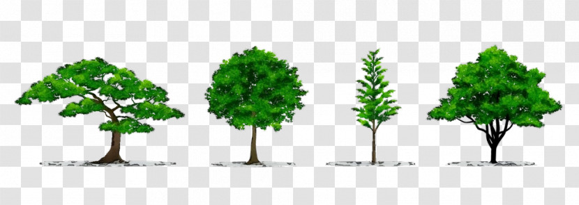 Arbor Day Transparent PNG