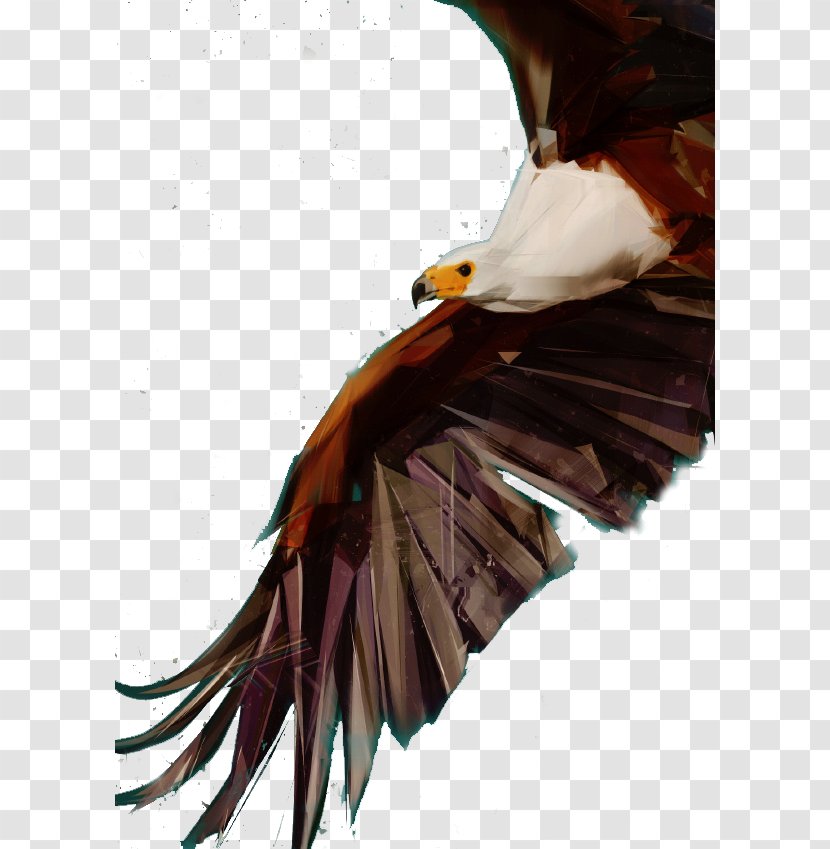 Bald Eagle Bird Flight Falcon Owl - Hand-painted Transparent PNG