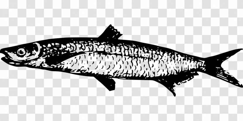 Lake Tanganyika Fish Drawing Walleye - Oily - African Transparent PNG