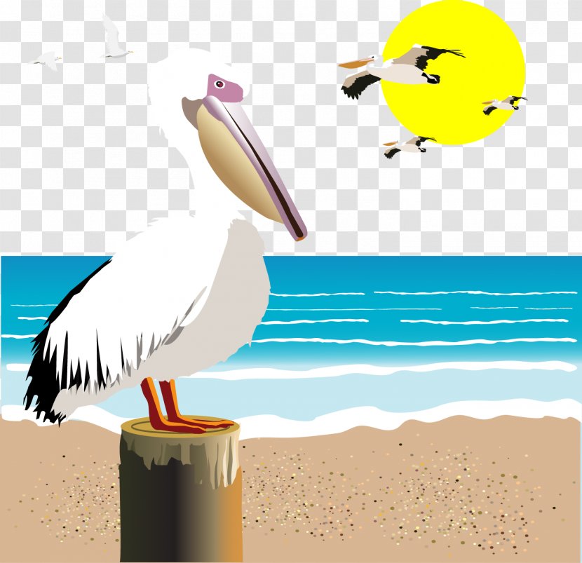 Gulls Seabird Illustration - Royaltyfree - Vector Seagull Transparent PNG
