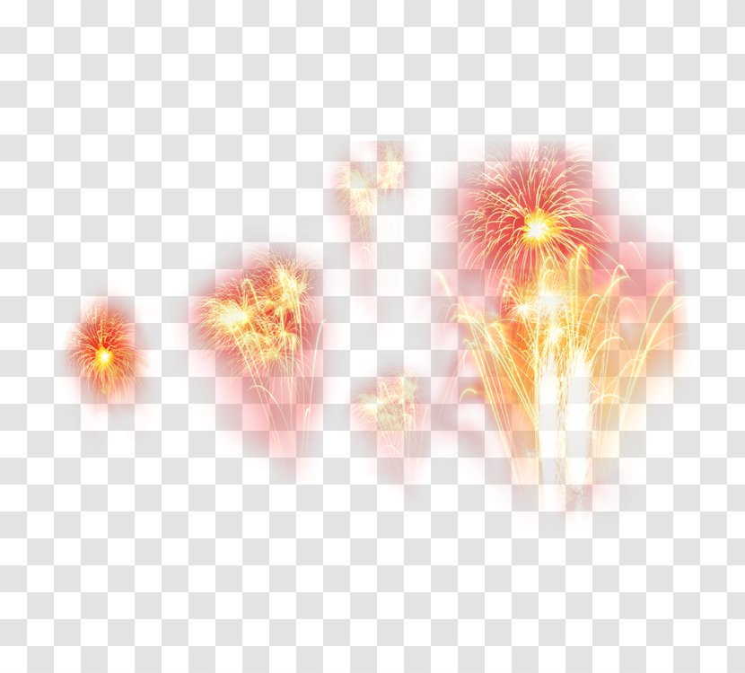 Light Fireworks - Sky Transparent PNG