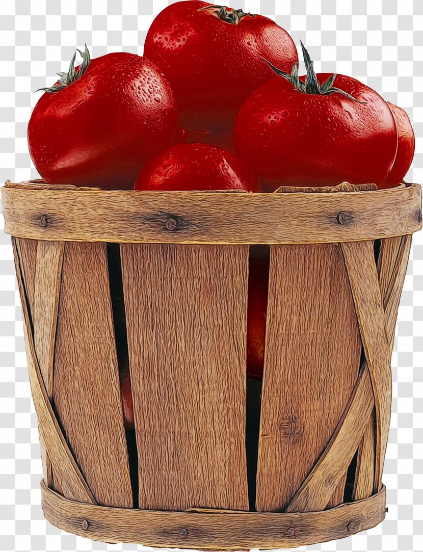 Tomato - Watercolor - Apple Transparent PNG