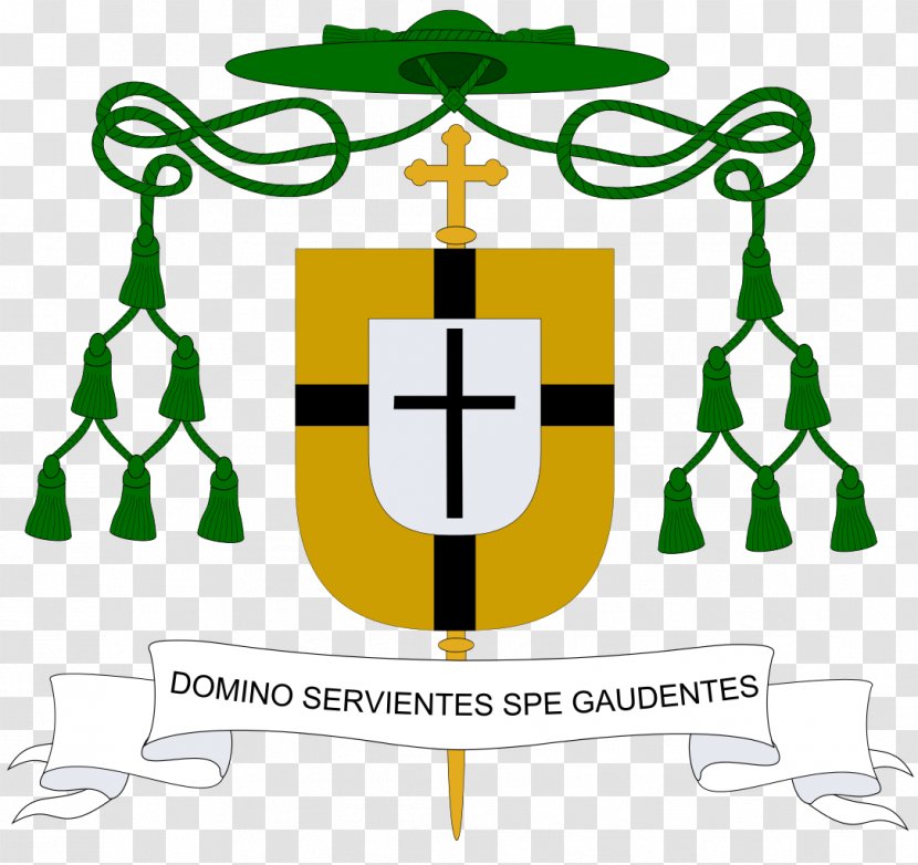 Catholicism Roman Catholic Diocese Of Hamilton, Ontario Matagalpa Cathedral Basilica Saint Louis - Adapt Insignia Transparent PNG