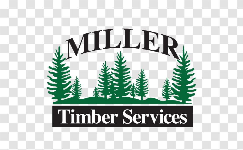 Logo Miller Timber Services Inc Lumberjack Business - Pine Family Transparent PNG