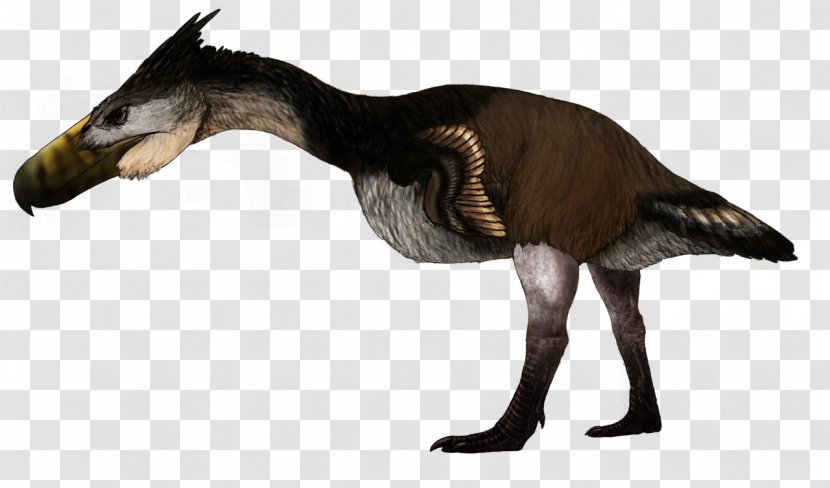 Utahraptor Dinosaur Komodo Dragon Kelenken Guillermoi Prehistoric Bird - Macaw Transparent PNG