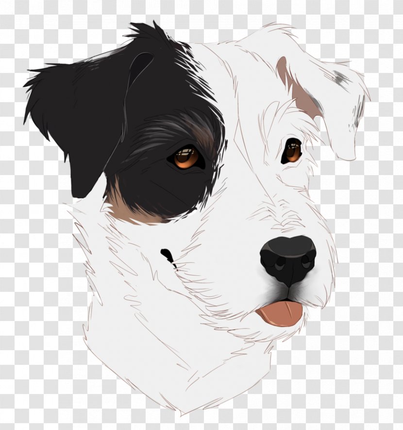 Dog Breed Puppy Companion Drawing - Cartoon - Wolf Drinking Water Animals Transparent PNG