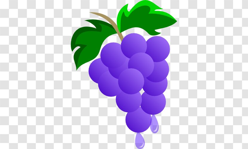 Grape Juice Cutie Mark Crusaders Food Cupcake - Flowering Plant Transparent PNG