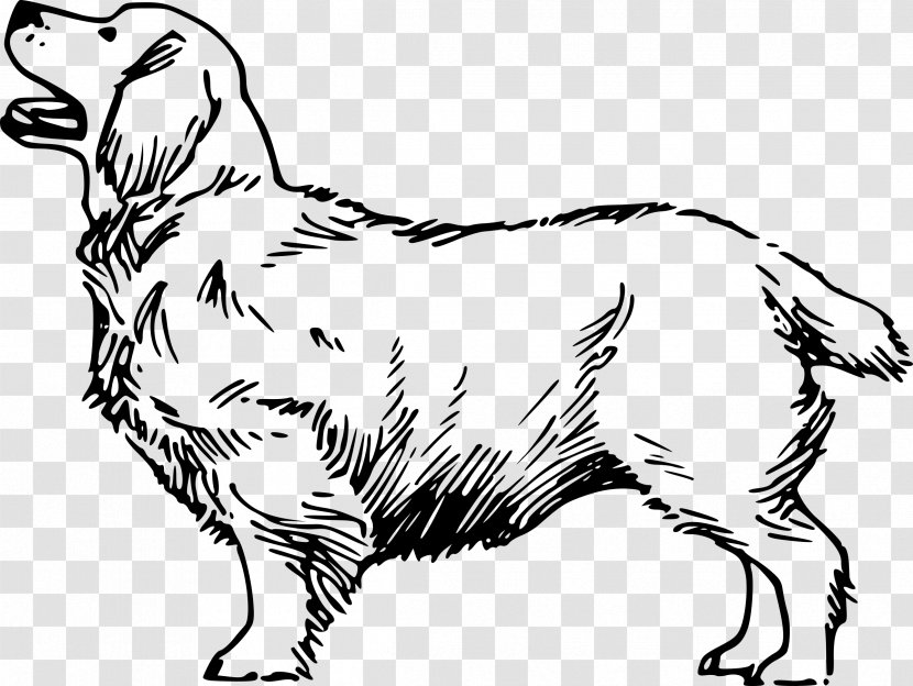 Beagle Cat Breed - Dog Transparent PNG