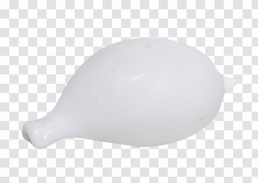 White Black - Conch Creative Transparent PNG