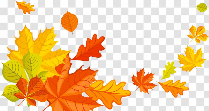 Maple Leaf - Rar - Autumn Leaves Transparent PNG