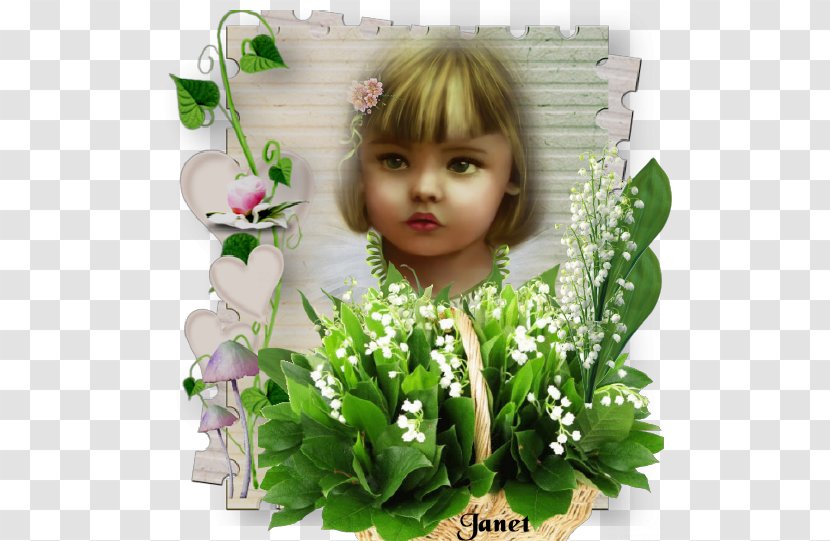 1 May Lily Of The Valley Labour Day Drawing - Flowering Plant Transparent PNG