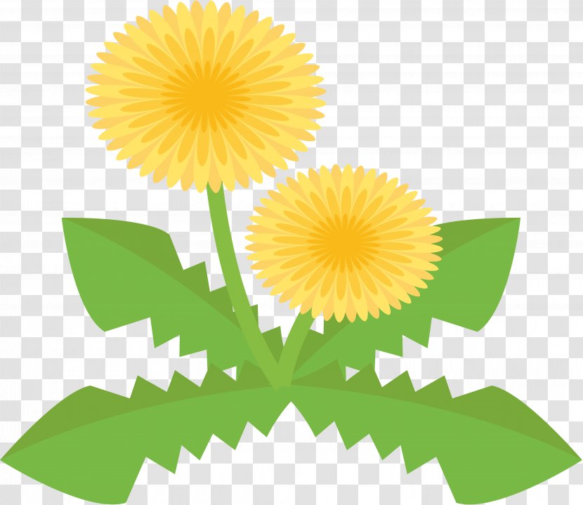 Tanpopo Common Dandelion Clip Art - Sunflower - Dandelions Transparent PNG