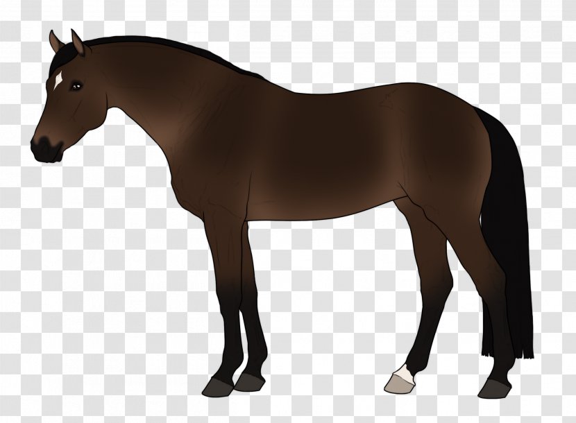 Stallion Horse Pony Gallop Silhouette Transparent PNG