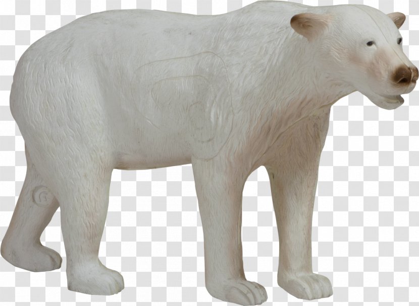 Polar Bear Field Archery Shooting Target - Bears Transparent PNG