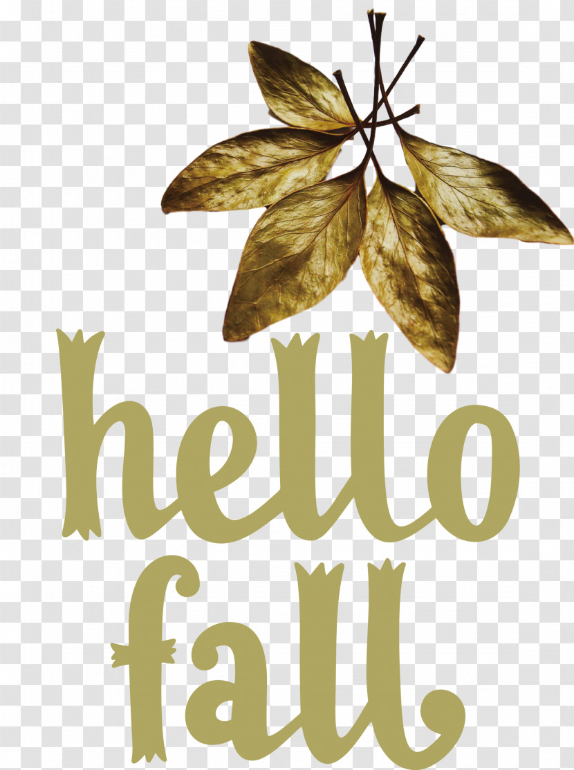 Hello Fall Fall Autumn Transparent PNG