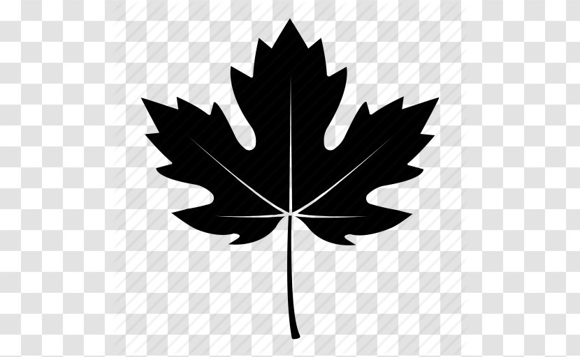 Sycamore Maple Leaf Tree Autumn - Black Fall Leaves Icon Transparent PNG