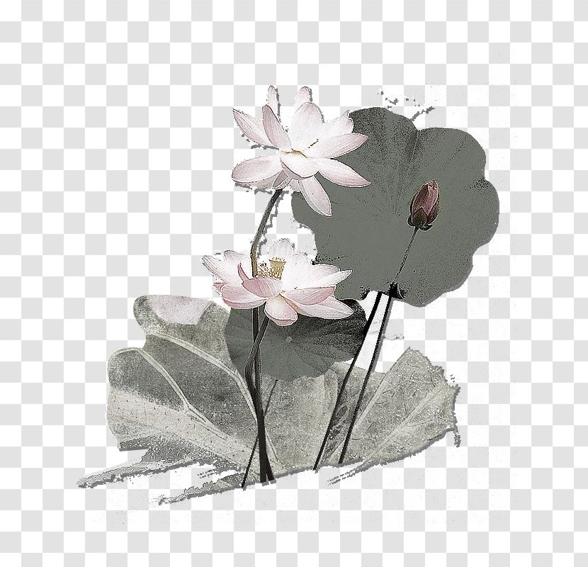 Yushui - Flowering Plant - Ink And Water Lotus Atmosphere Map Transparent PNG
