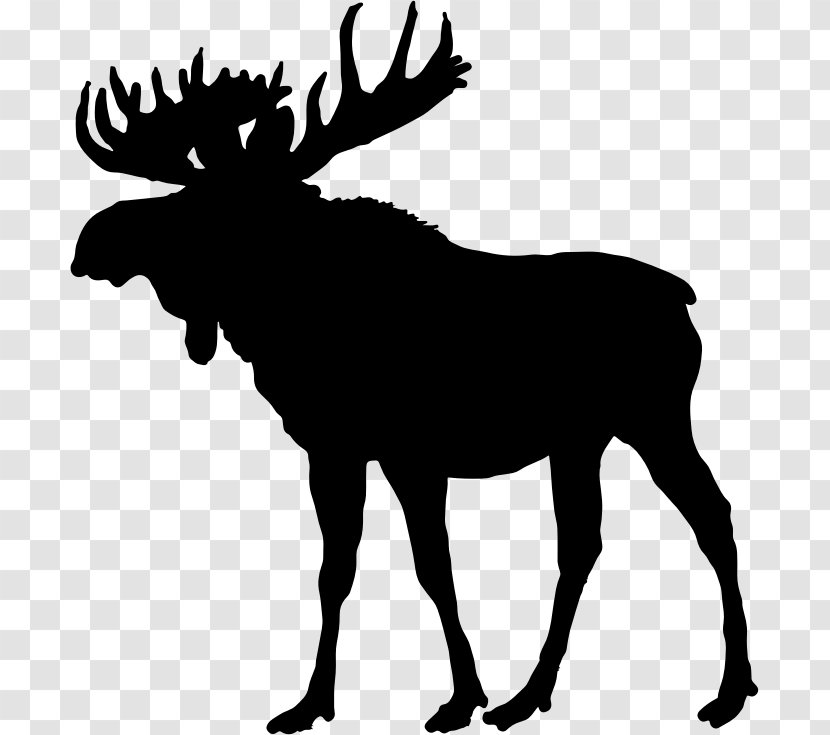 Moose Deer Silhouette Clip Art - Bull Transparent PNG