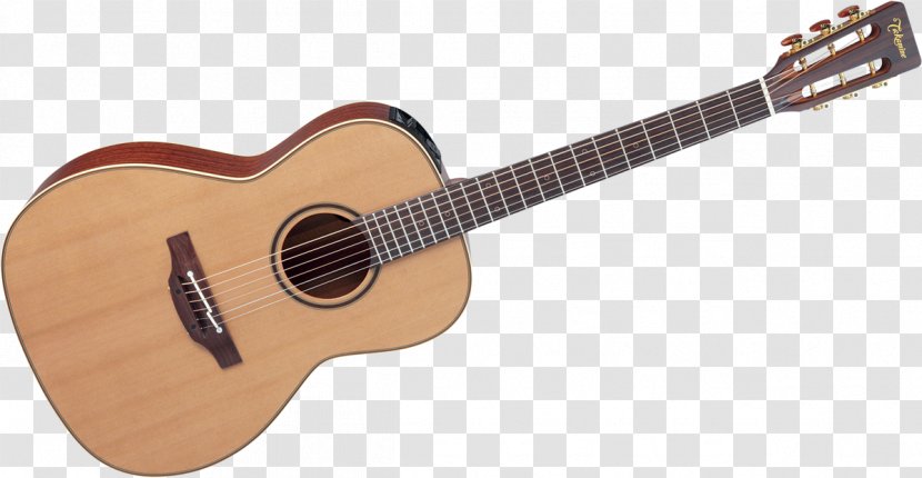 Acoustic Guitar Acoustic-electric Tiple Cavaquinho Cuatro - Watercolor Transparent PNG