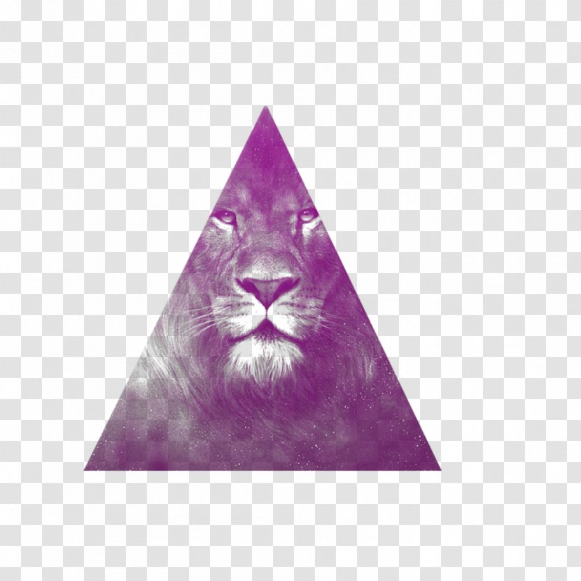 Equilateral Triangle Geometry - Photography - Hipster Transparent PNG