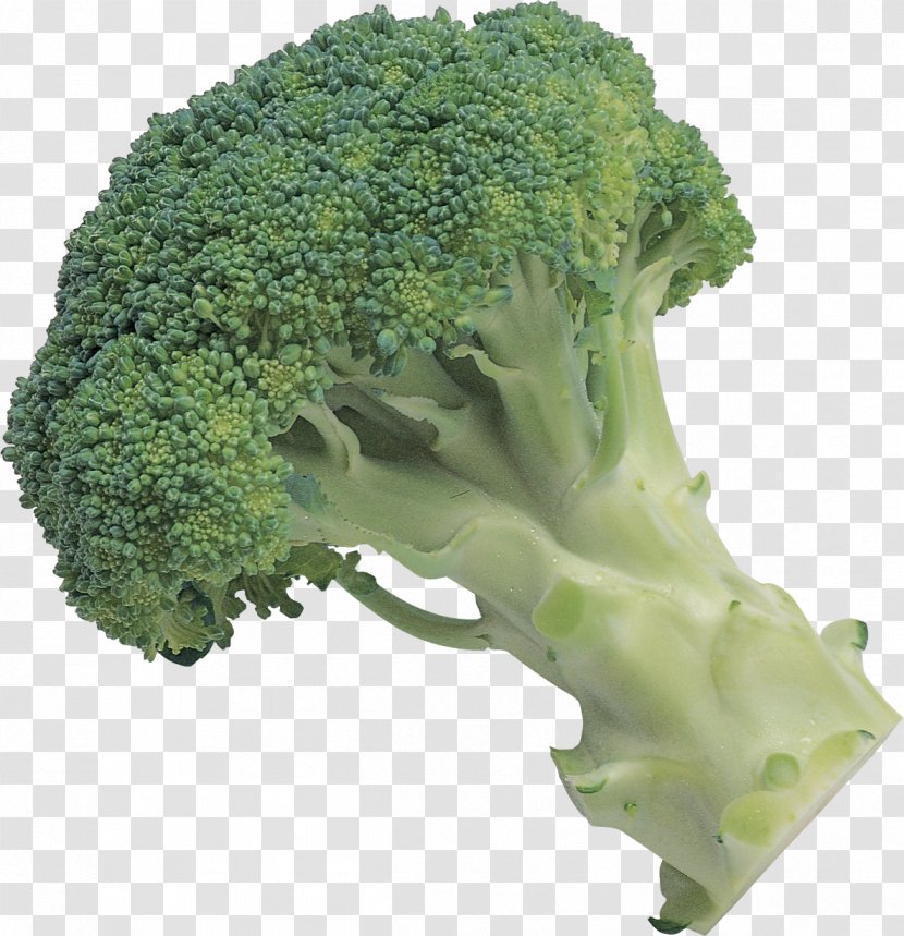Broccoli Slaw - Kale - Image Transparent PNG