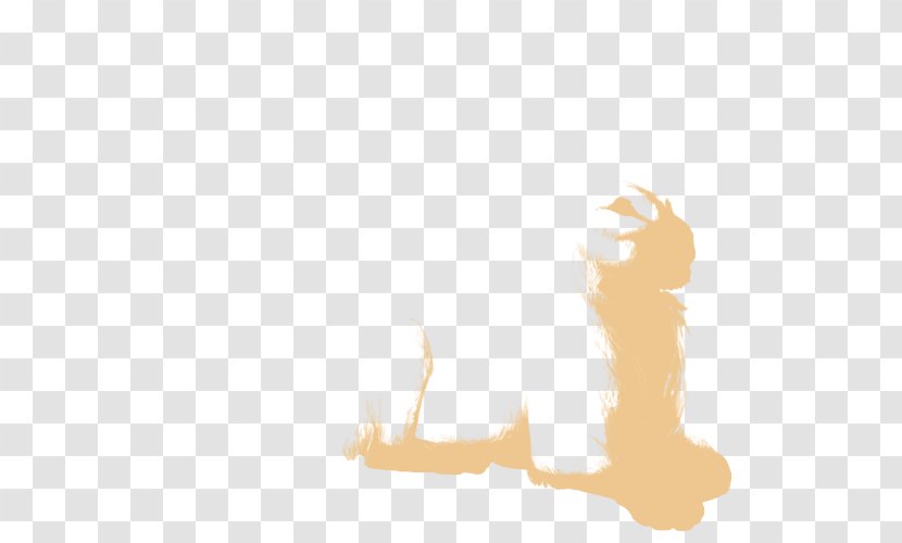 Cat Dog Canidae Desktop Wallpaper Paw - Joint Transparent PNG