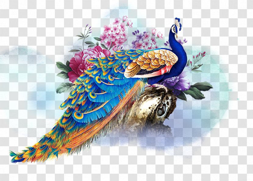 Graphic Design - Color - Peacock Transparent PNG