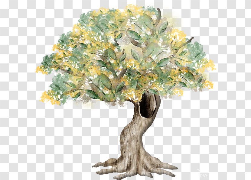 Tree Hollow Drawing - Root - Spring Transparent PNG