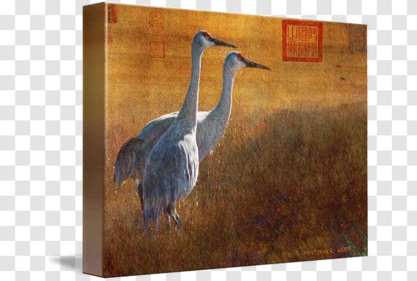 Painting Picture Frames Crane Fauna Art Transparent PNG