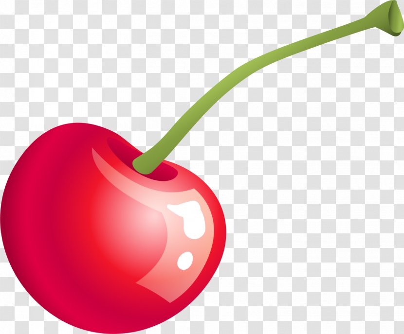Cherry Drawing Cartoon - Auglis - Red Transparent PNG
