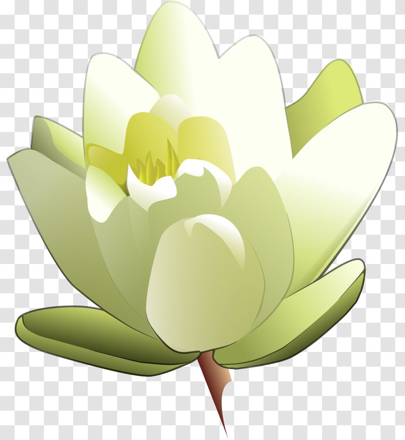 Easter Lily Tiger Flower Clip Art - Plant - Frog On Pad Clipart Transparent PNG