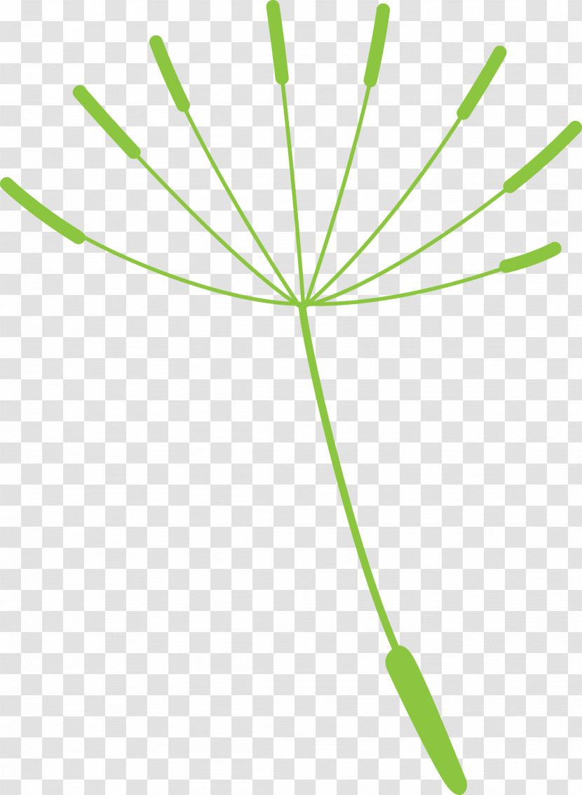 Dandelion Transparent PNG