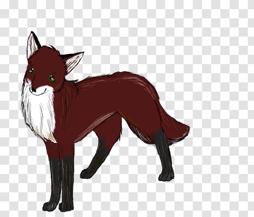 Red Fox Dog Wildlife Snout - Vertebrate Transparent PNG