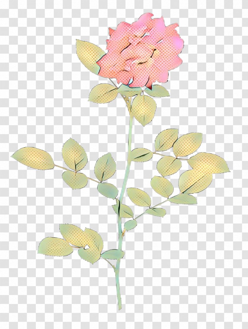 Pink Flower Cartoon - Petal - Hydrangea Orchid Transparent PNG