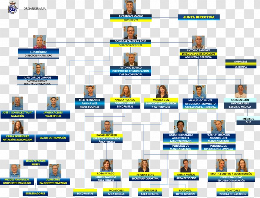 Organizational Chart Corporation Photography Real Canoe NC - Fitness Centre - Canoeing Transparent PNG