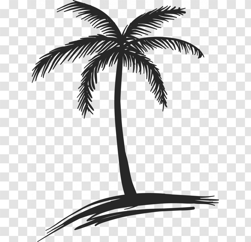 Drawing Coconut Arecaceae Tree Watercolor Painting - Sticker - Star Ocean Transparent PNG