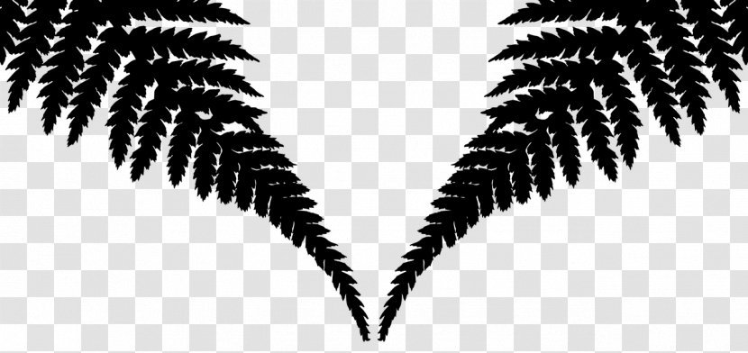 Image Palm Trees - Symmetry - Nature Transparent PNG