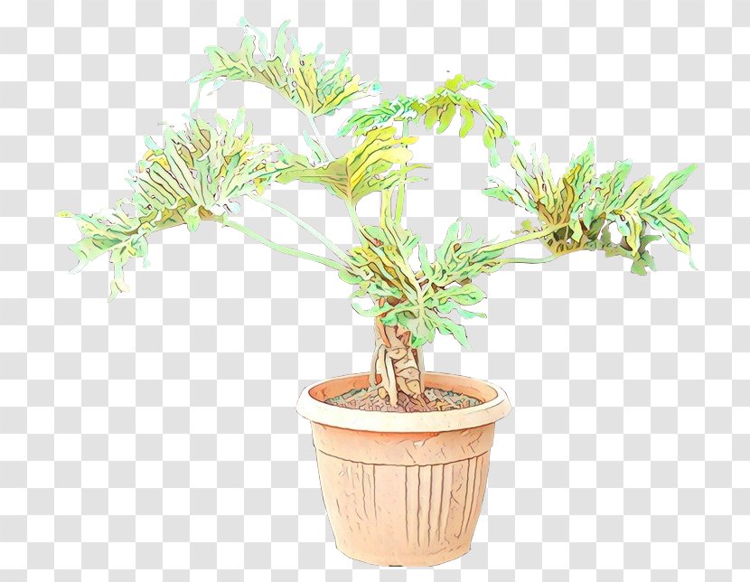 Bonsai Tree Philodendron Flowerpot Gardening - Plant Stem Transparent PNG