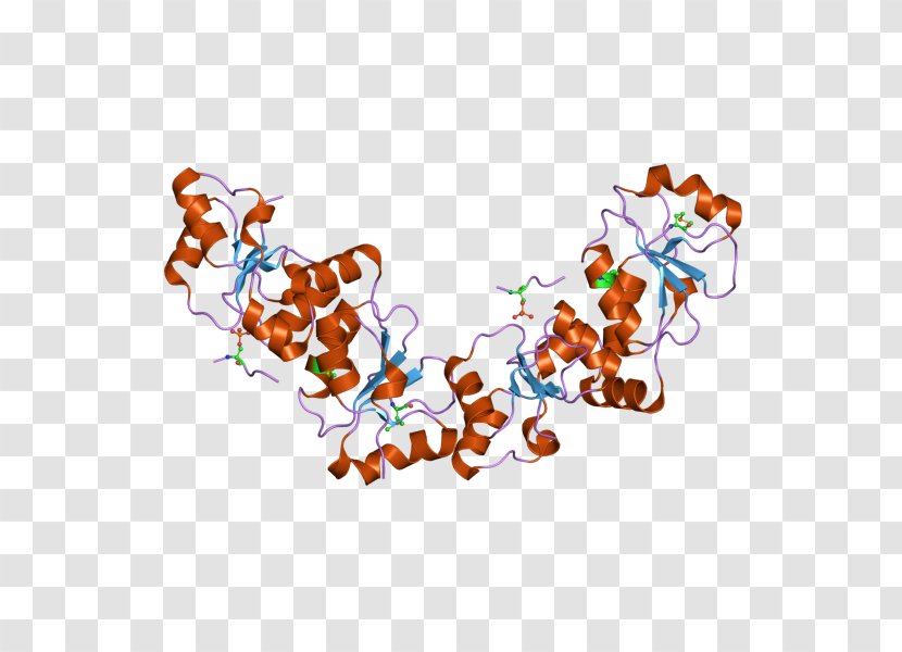 MDC1 H2AFX Cell Cycle Checkpoint DNA Protein - Gene - M Transparent PNG