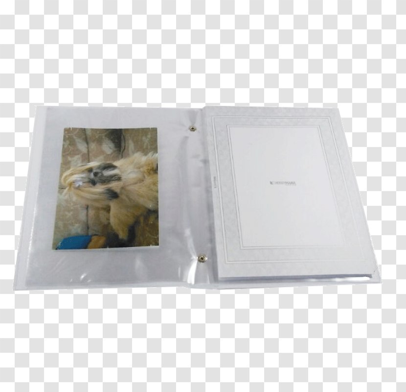 Picture Frames - Frame - Album Material Transparent PNG