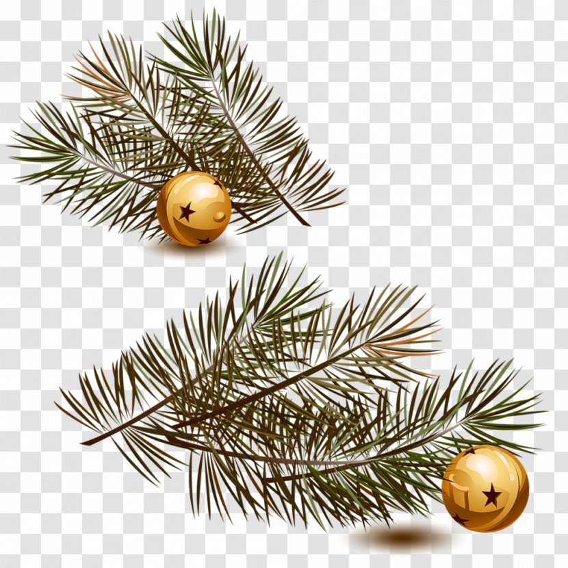 Christmas Day Ornament Website Spruce - Pine Family - Twig Transparent PNG