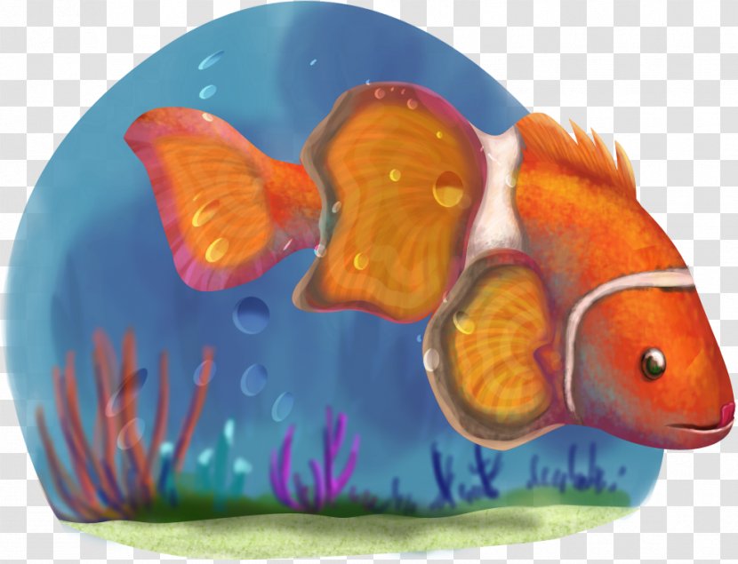 Desktop Wallpaper Image Clownfish - Coral Reef Fish - Clown Transparent PNG