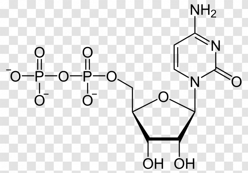 Uridine Monophosphate Diphosphate Triphosphate Adenosine - Heart - Silhouette Transparent PNG