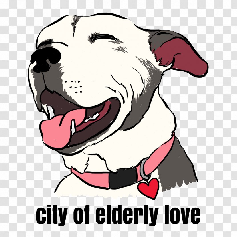 Dog Breed Philadelphia Old Age Pet Transparent PNG
