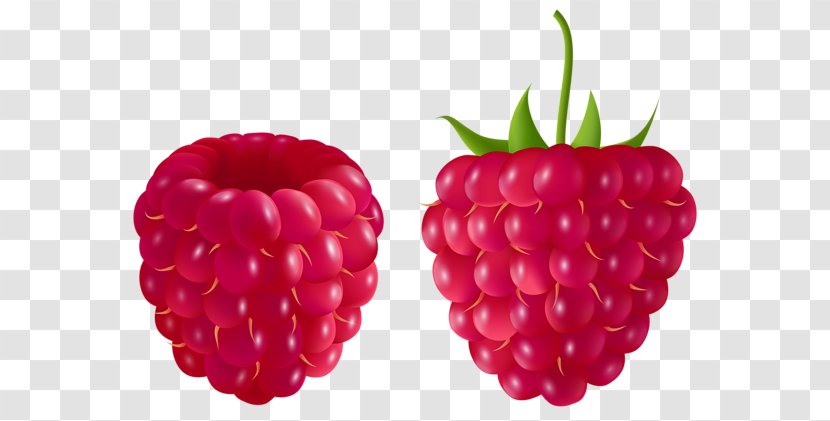 Raspberry Muffin Blackberry Clip Art - Boysenberry Transparent PNG